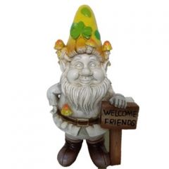Chief Leprechaun of the Mushroom Patch